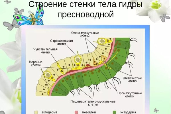 Кракен сыл ссылка