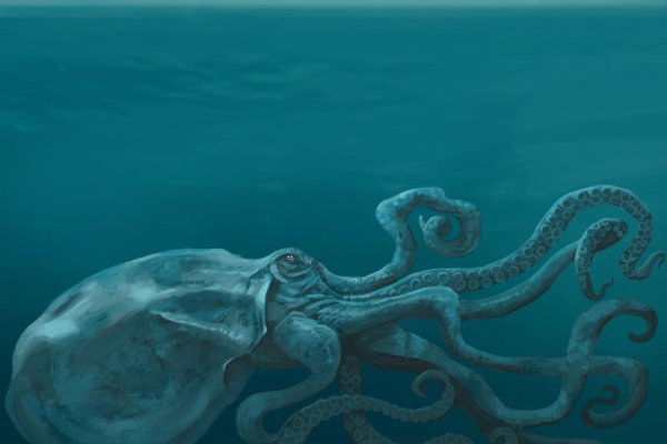 Kraken зеркало kr2web in