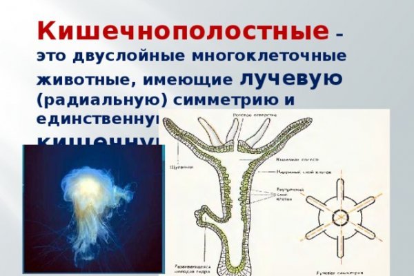 Как перейти на кракен