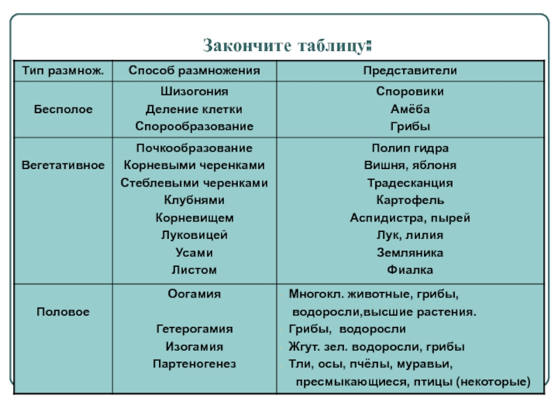 Кракен шоп зеркало